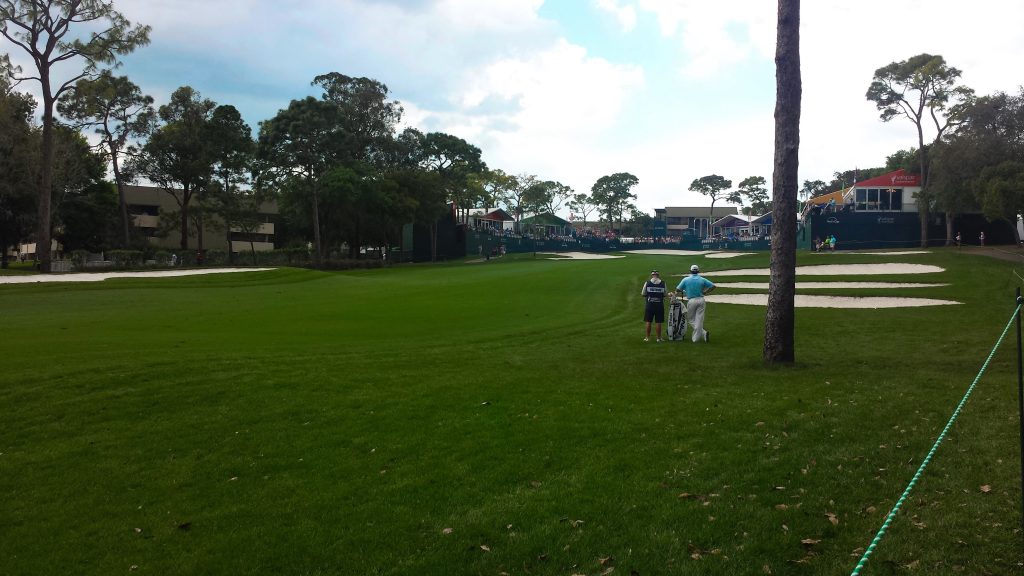 Valspar Championship Golf Tampa 2024, Golf Tampa Bay