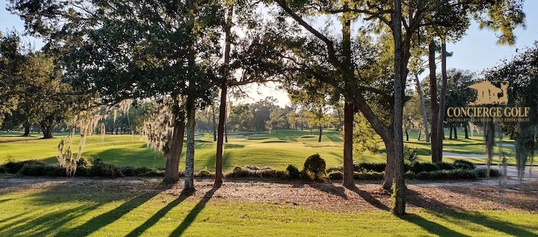 Copperhead at Innisbrook Golf Resort