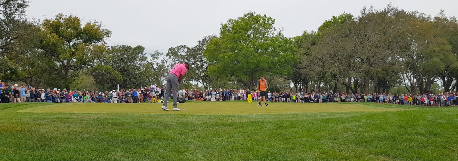 Where is the Valspar Championship Played? Concierge Golf